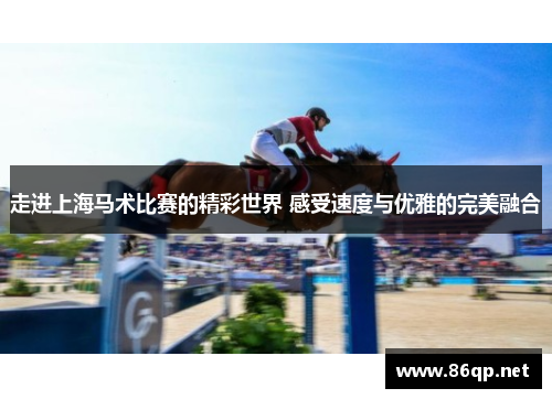 走进上海马术比赛的精彩世界 感受速度与优雅的完美融合